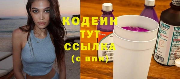 круглые Пересвет
