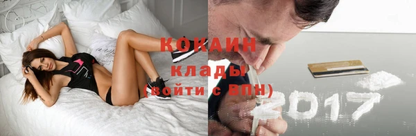 амф Осинники