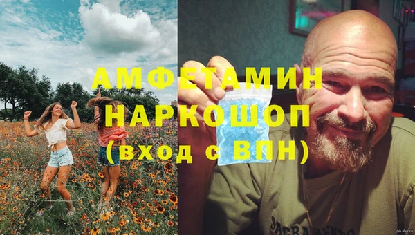 круглые Пересвет